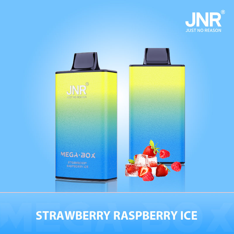 JNR Mega Box 25000 Puffs Disposable Vape(10 PCS) 20 Flavors