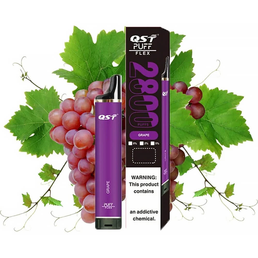 Flex QST 2800 Puff Disposable Vape 8ML 850mAh 25 Flavors In Sales