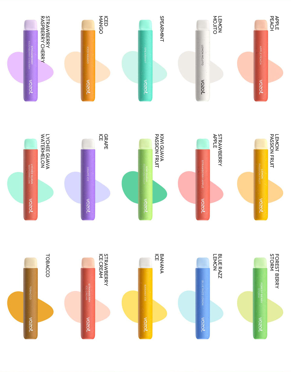 Vozol Star 600 puffs 10 Pc of Bundle Disposable Vape Kit 20mg Nicotine 550mAh battery 15 Flavors
