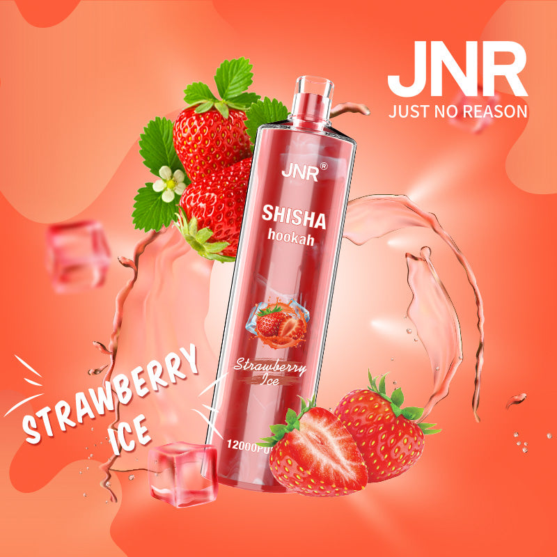 JNR Shisha Hookah 12000 (Box of 10) 24ml 750mAh Disposable vape 16 flavors