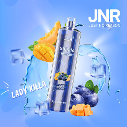 JNR Shisha Hookah 12000 Puffs 24ml 750mAh 16 flavors Disposable vape