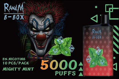RandM B Box 5000 Puffs 0% 2% 3% 5% Nicotine Rechargeable Disposable vape