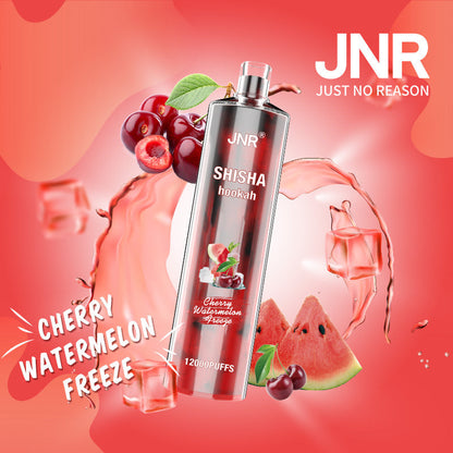 JNR Shisha Hookah 12000 Puffs 24ml 750mAh 16 flavors Disposable vape