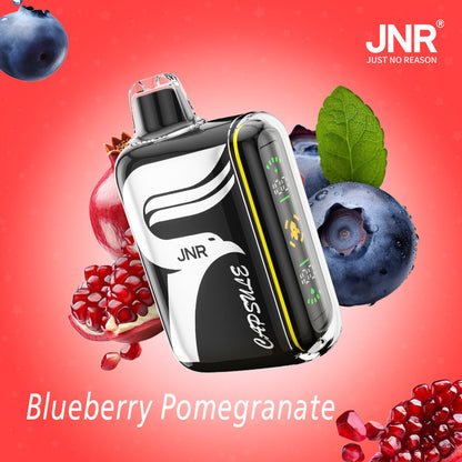 JNR Digital Box Capsule 15000 Puffs 850mAh 20ml 20 Flavors
