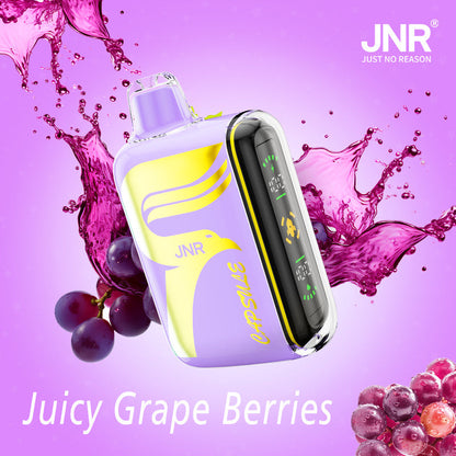 JNR Digital Box Capsule 15000 Puffs 850mAh 20ml 20 Flavors