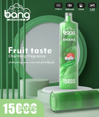Bang 15000 Puffs Vape 15K Disposable Vape Pen E Cigarette Prefilled 25ml 600mAh Disposable Vape 12 Flavors
