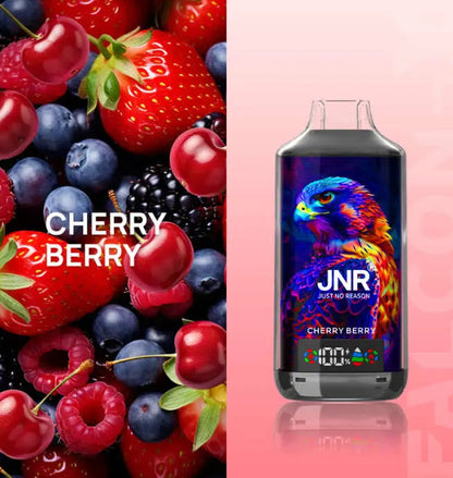 JNR 18000 Puffs Vape 18K Disposable Vape(Box of 10) Pen E Cigarette 24ml 950mAh 11 Flavors