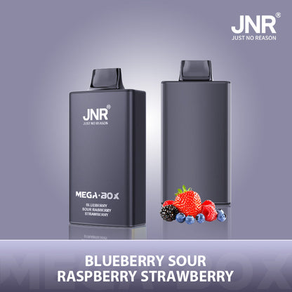 JNR Mega Box 25000 Puffs Disposable Vape（10 PCS) 20 Flavors