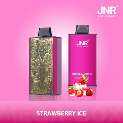 JNR Mega Box 25000 Puffs Disposable Vape（10 PCS) 20 Flavors
