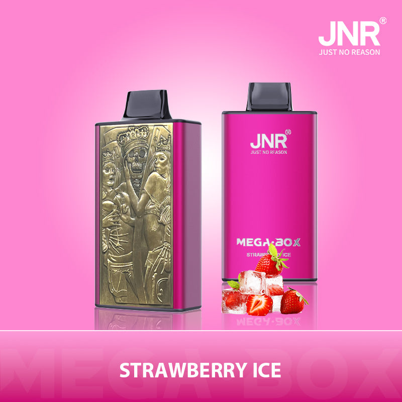 JNR Mega Box 25000 Puffs Disposable Vape（10 PCS) 20 Flavors