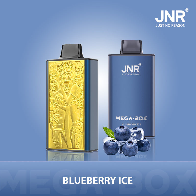 JNR Mega Box 25000 Puffs Disposable Vape（10 PCS) 20 Flavors
