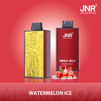 JNR Mega Box 25000 Puffs Disposable Vape（10 PCS) 20 Flavors