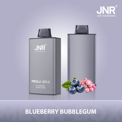 JNR Mega Box 25000 Puffs Disposable Vape（10 PCS) 20 Flavors