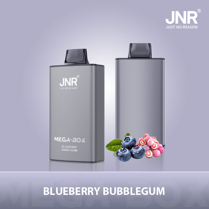 JNR Mega Box 25000 Puffs Disposable Vape（10 PCS) 20 Flavors