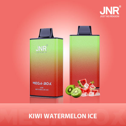 JNR Mega Box 25000 Puffs Disposable Vape（10 PCS) 20 Flavors