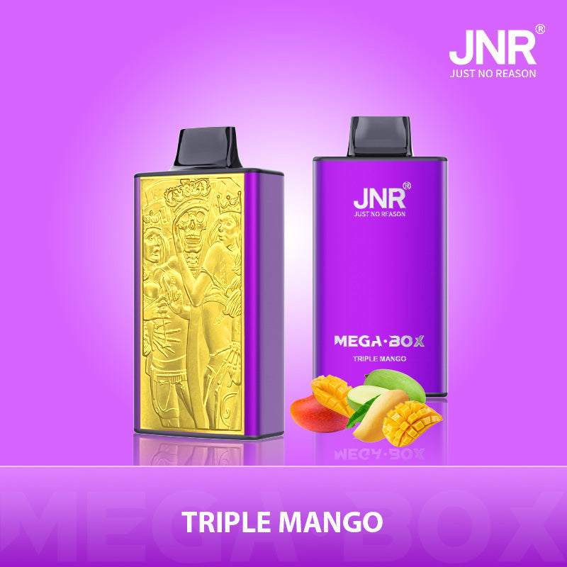 JNR Mega Box 25000 Puffs Disposable Vape（10 PCS) 20 Flavors