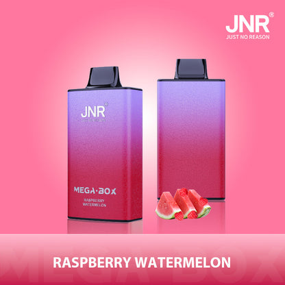 JNR Mega Box 25000 Puffs Disposable Vape（10 PCS) 20 Flavors