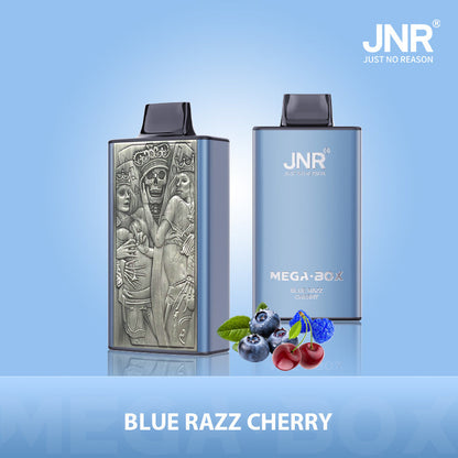 JNR Mega Box 25000 Puffs Disposable Vape（10 PCS) 20 Flavors
