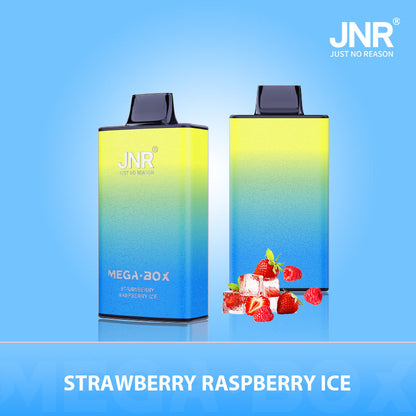 JNR Mega Box 25000 Puffs Disposable Vape（10 PCS) 20 Flavors