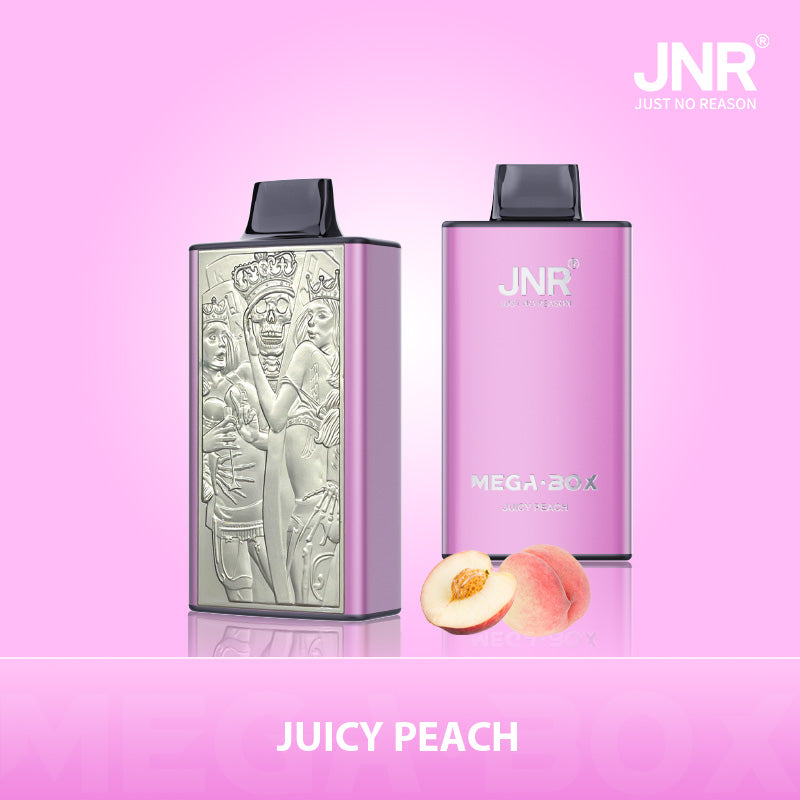 JNR Mega Box 25000 Puffs Disposable Vape（10 PCS) 20 Flavors