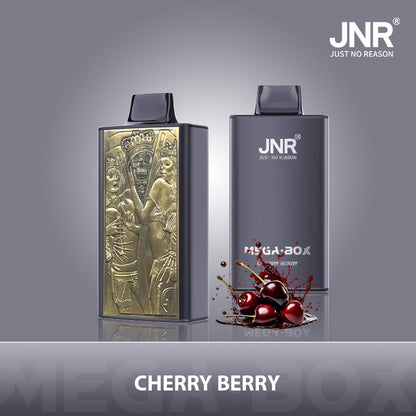 JNR Mega Box 25000 Puffs Disposable Vape（10 PCS) 20 Flavors