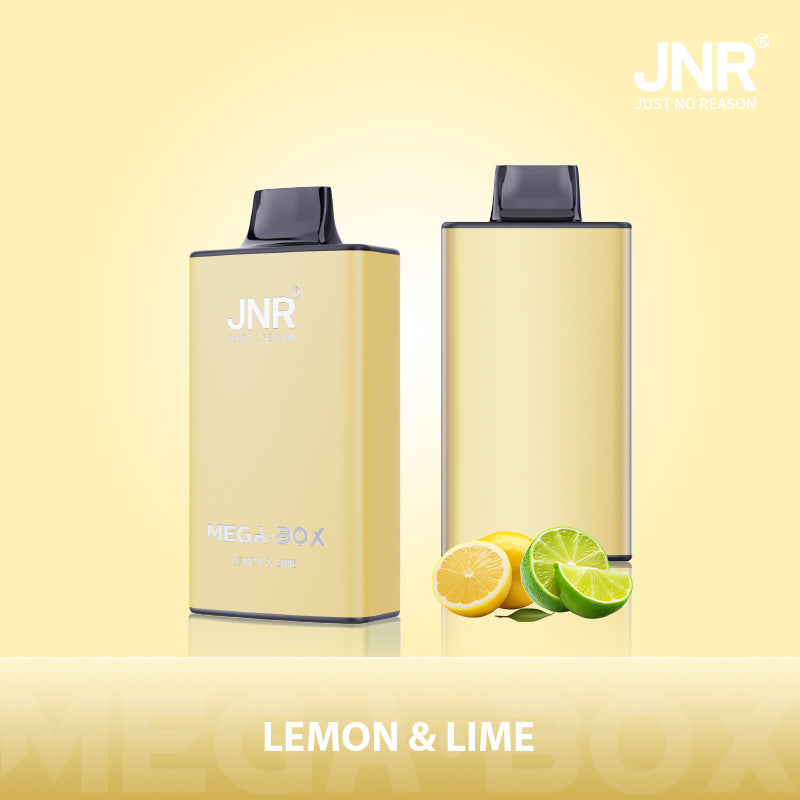 JNR Mega Box 25000 Puffs Disposable Vape（10 PCS) 20 Flavors