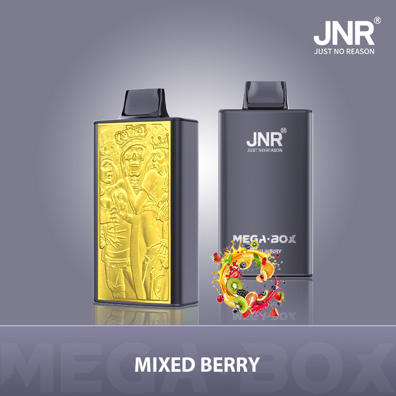 JNR Mega Box 25000 Puffs Disposable Vape（10 PCS) 20 Flavors