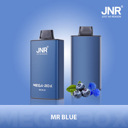 JNR Mega Box 25000 Puffs Disposable Vape（10 PCS) 20 Flavors