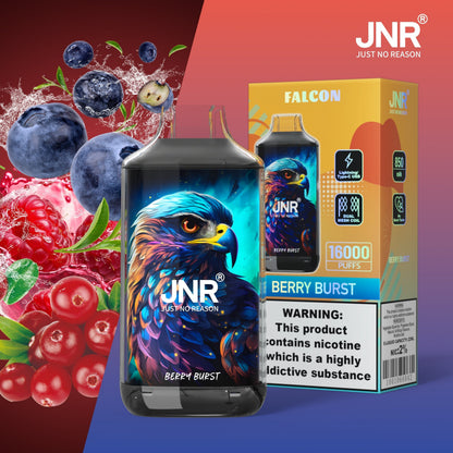 JNR FALON 16000 16K Puffs Original Edition Rechargeable Disposable Vape-850mAh Battery, 22ml E-liquid, Multiple Nicotine 27 Flavors