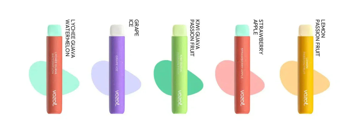 Vozol Star 600 puffs  10 Pc of Bundle Disposable Vape Kit 20mg Nicotine  550mAh battery  15 Flavors
