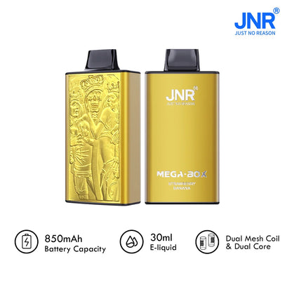 JNR Mega Box 25000 Puffs Disposable Vape（10 PCS) 20 Flavors