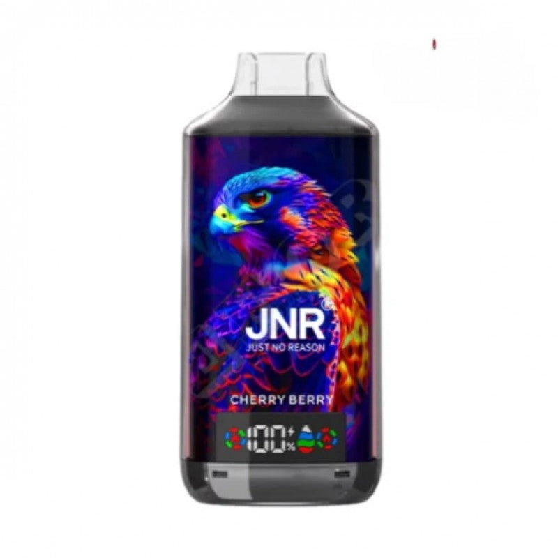 JNR Falcon X 18000 (0/2/5% Nic) | 0.6Ω Mesh Coil-Disposable Vape 18000 Puffs -950mAh Battery, 24ml E-liquid, Multiple Nicotine 11 Flavors