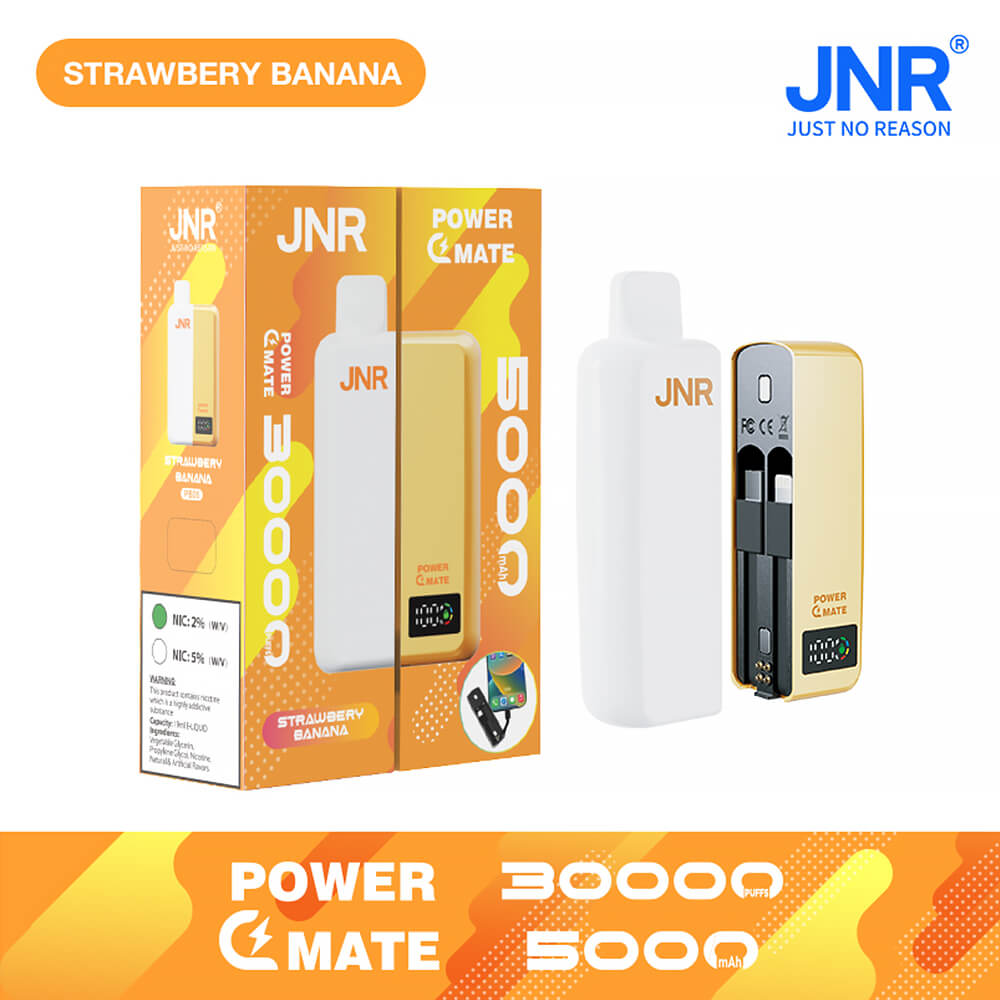JNR PowerMate 30000 Puffs Disposable Vape In Sales-5500mAh Battery, 19ml E-liquid, Multiple Nicotine 10 Flavors