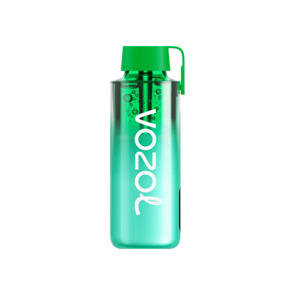 Vozol Neon 10000 - Miami Mint