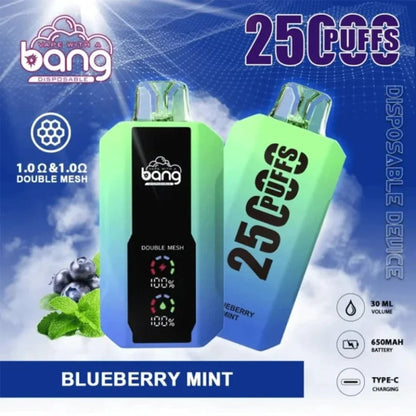 Bang 25000 Puffs Vape 25K Disposable Vape Pen E Cigarette Prefilled 30ml 650mAhDisposable Vape 12 Flavors