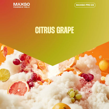 RELX MAXGO Pro 22